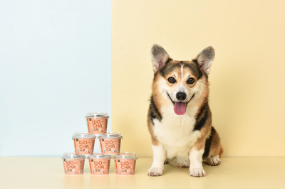 宠物食品摄影指南 如何拍出诱人又真实的宠物食品照片