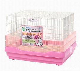 专业宠物用品一站购齐 | HK 88DB.com 推荐宠物咖啡馆精选产品